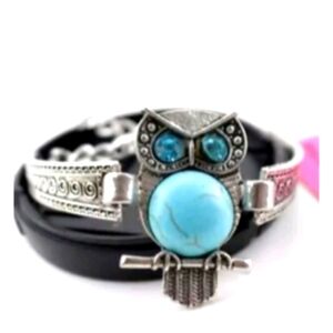 Silver and Turquoise Owl Bracelet New Betsey Johnson